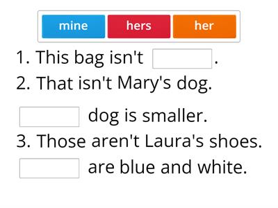 POSSESSIVE ADJECTIVES / POSSESSIVE PRONOUNS