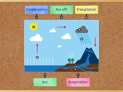 The Water Cycle