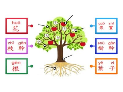 小一普通話STEAM