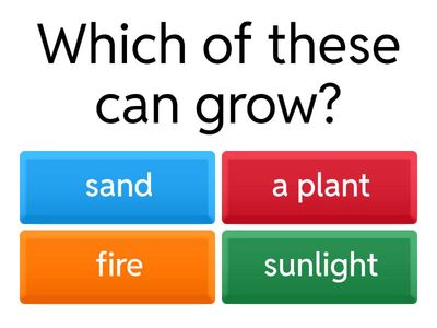 Living and Non-Living Things