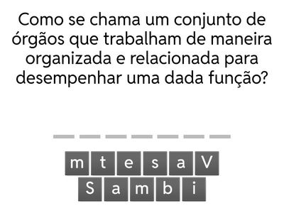 Aulas 16 e 17 Níveis de organização dos seres vivos. recuperação