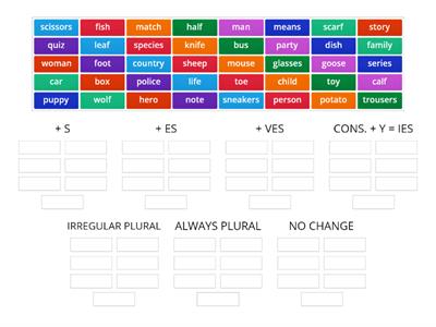 Plural of nouns - Bia