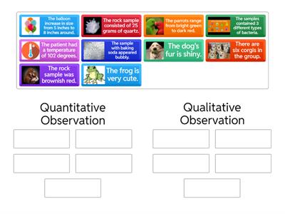 Qualitative/ Quantitative Observations