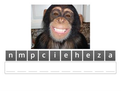 Arrange the words correctly.