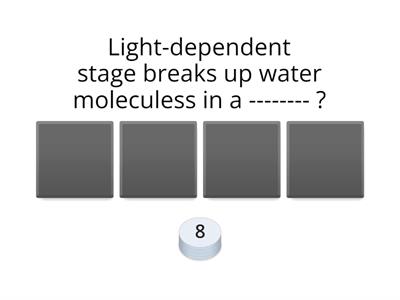 Photosynthesis888