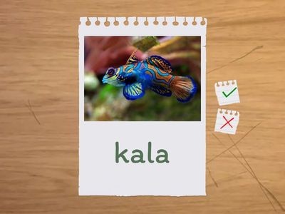 ILE 2. Unit 4. Words 15-21 (ex 5-6)