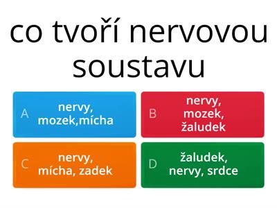 nervová soustava😀