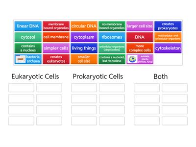 Prokaryotic Vs. Eukaryotic