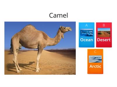  Animals Habitat Quiz1