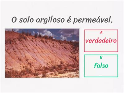 Estudo Do Meio- 4º ano-2º Período