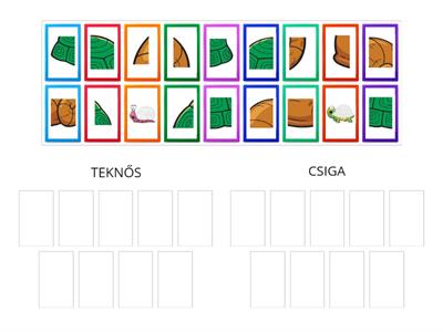 Rész - egész ( csoportosítsd az elemeket! Melyik tartozik a teknőshöz? Melyik a csigához? )