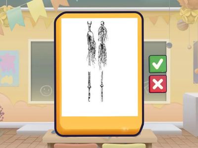 Пам'ятки 8 клас (Theme I)