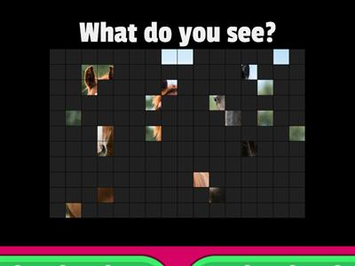 T2 - ARB p. 4, 5 - planning 1 - class 3