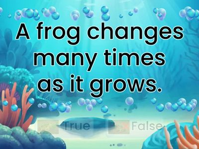 myView 1.2 - The Life of a Frog - Reading Skill