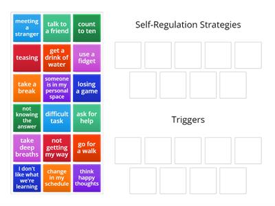 Self-Regulation Strategies and Triggers: Group Sort