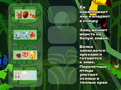 Окружающий мир