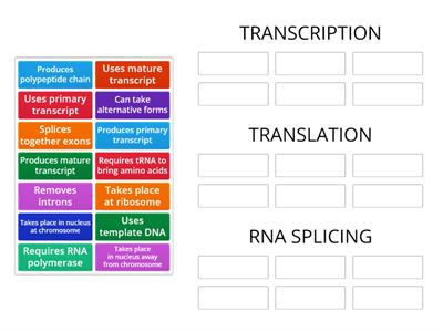 HHB Gene Expression 1