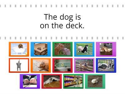 Sentence Picture Match