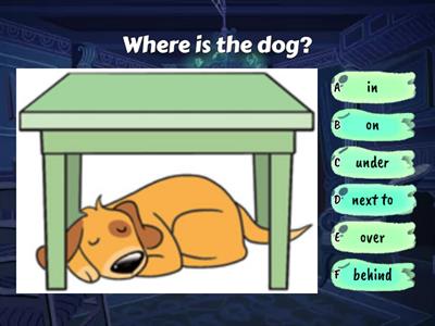 Prepositions of place (in/on/under/next to/over/behind)