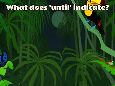 Vocabulary Test for A2+ Level