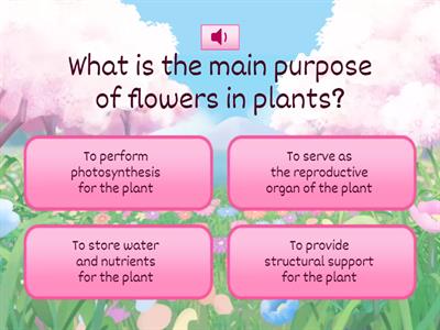 T5.1 Plant systems  - Flowers Purpose and Parts