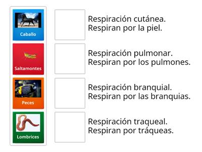 Respiración en Animales.