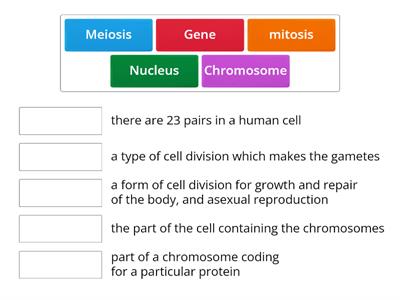 Cell division