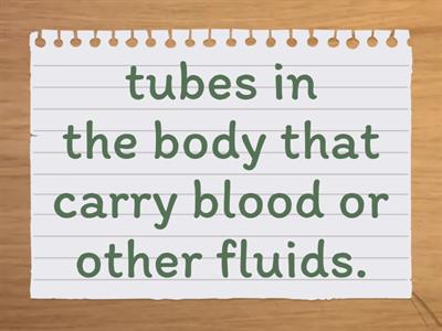 flashcards sol 3 u3 reading og