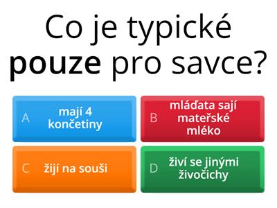  Savci - opakování