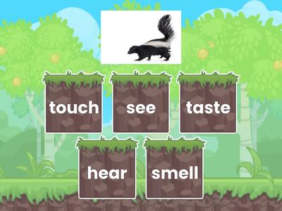 Review English Test - November 4th.