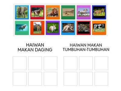 HAIWAN MAKAN DAGING ATAU HAIWAN MAKAN TUMBUHAN (SAINS AWAL - PRASEKOLAH)