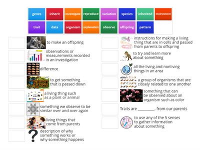 Science Unit 2 Vocab