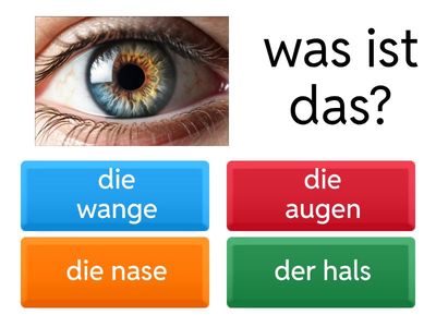 Körperteile und gesundheit