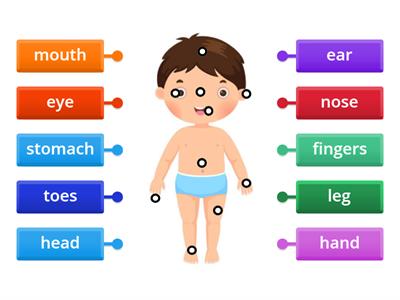 Parts of the Body class 3