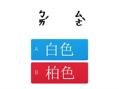 11.遠方來的黑皮