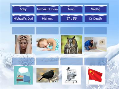  Skellig Match 'em up