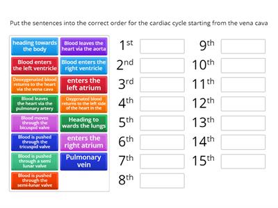 Cardiac cycle