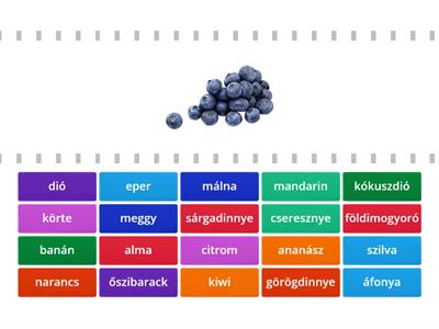 Gyümölcsök neve