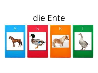 6_1_2b. (IV) Viele Tiere auf dem Bauernhof. 3.Klasse