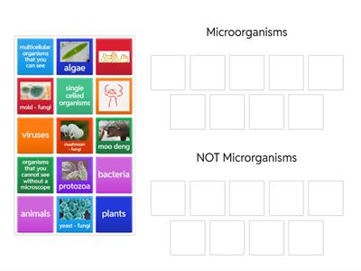 Y7 KS3 7.1 Microorganisms Card Sort