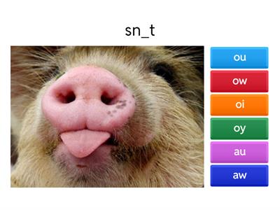  oi, oy, ou, ow, au, aw 