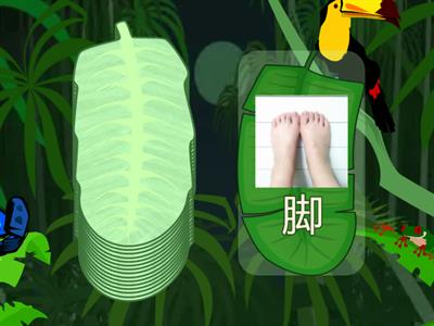 L13里面有什么？