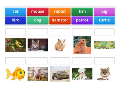 Тварини англійська 1 клас Кравченко