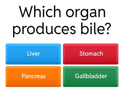 Digestive System Quiz