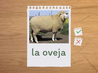 Animales de la Granja 1