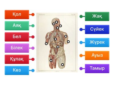 Русский порно в жопу Woodman