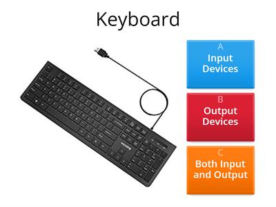 Input and Output Devices (24-25)