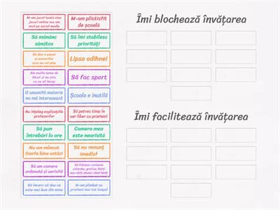 Activități care îmi blochează sau îmi facilitează învățarea