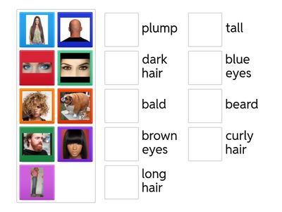 What do they look like? grade 4