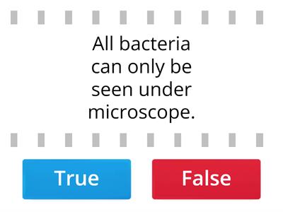 Plants, Fungi and Bacteria